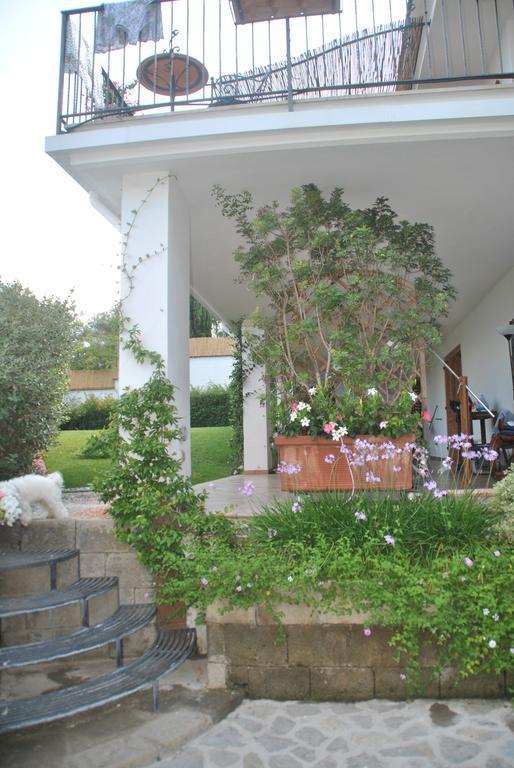 Casa Vacanze Villa Antonella By Gocce ヴィーコ・エクエンセ エクステリア 写真