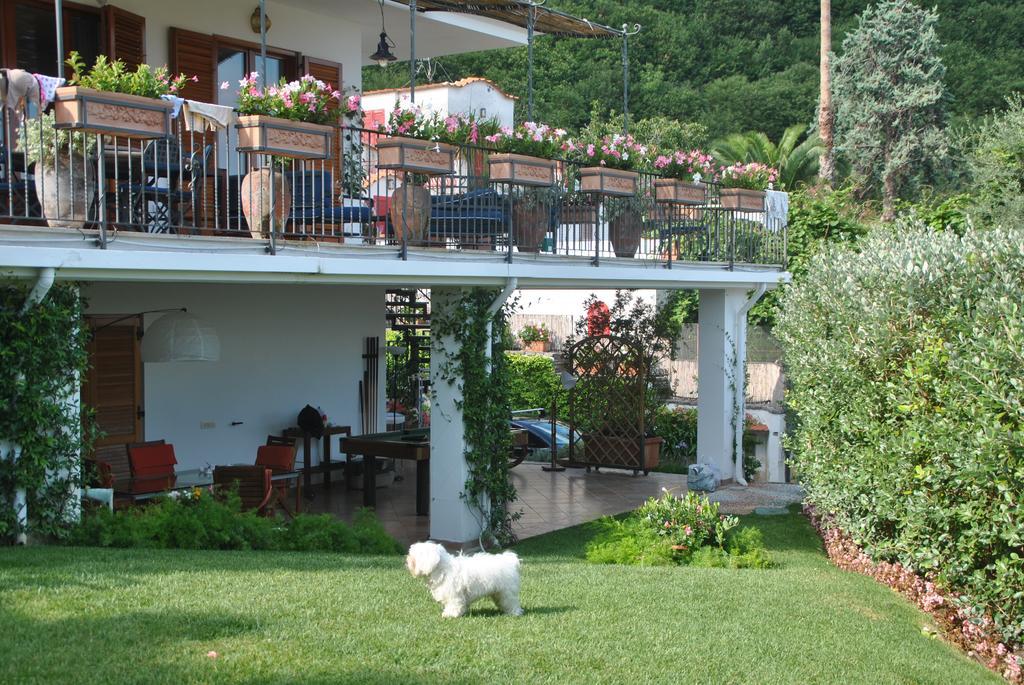Casa Vacanze Villa Antonella By Gocce ヴィーコ・エクエンセ エクステリア 写真